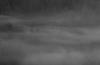  C093226crBW